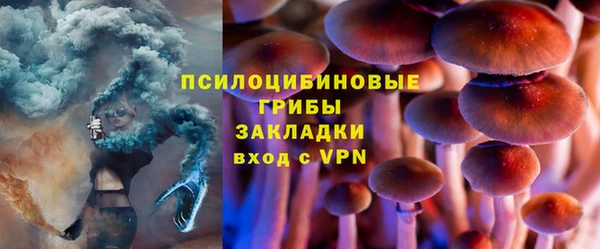 PSILOCYBIN Богородск